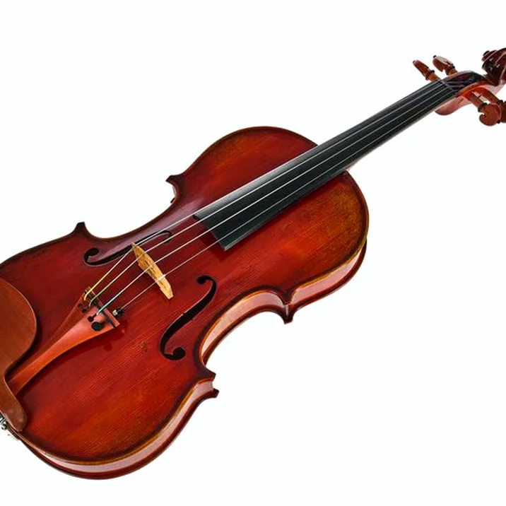 Eastman Andreas Eastman Violin VL405