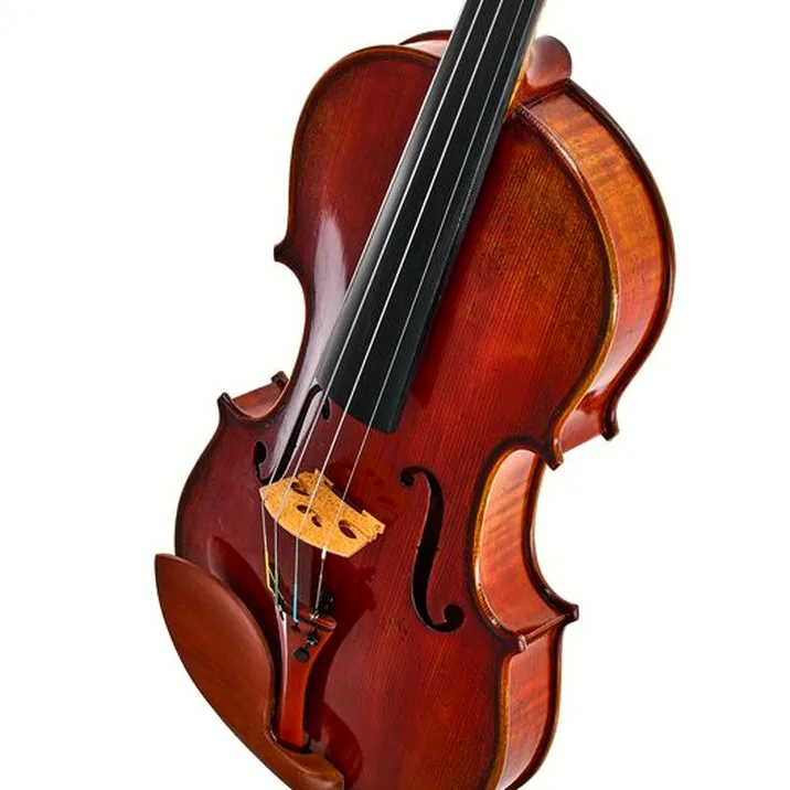 Eastman Andreas Eastman Violin VL405