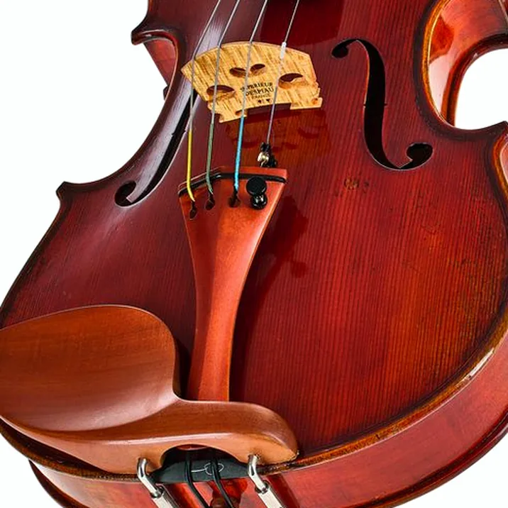 Eastman Andreas Eastman Violin VL405