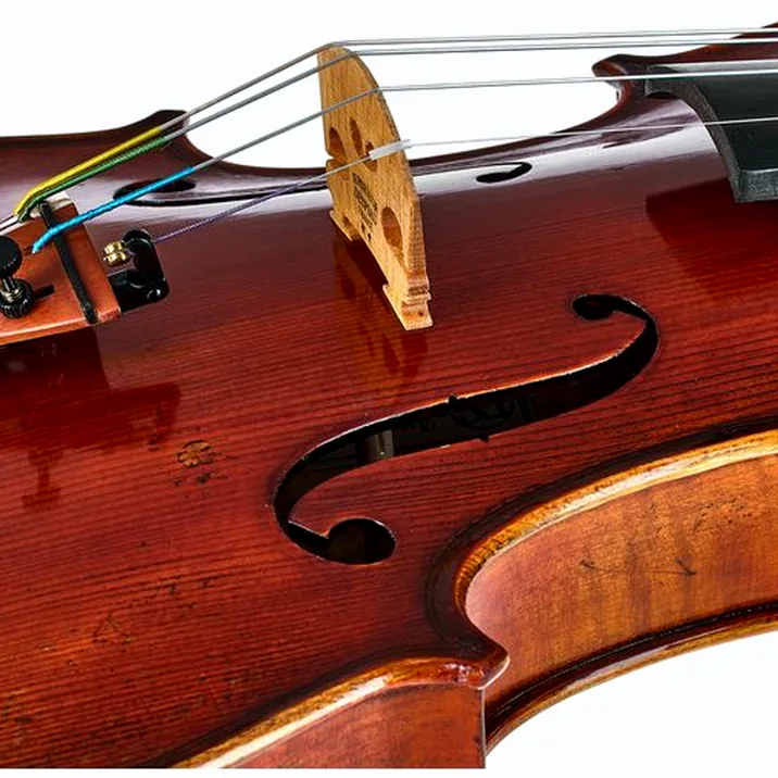 Eastman Andreas Eastman Violin VL405
