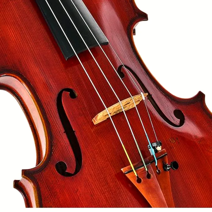 Eastman Andreas Eastman Violin VL405