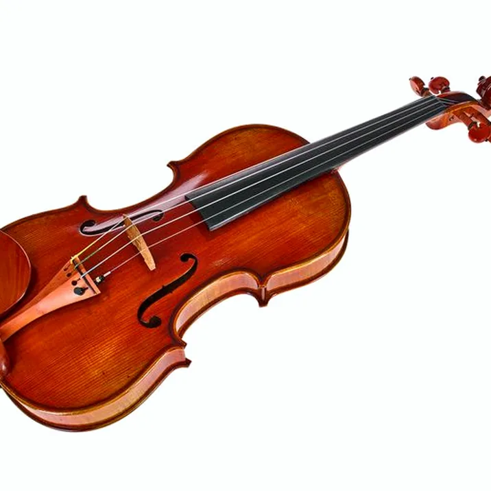 Eastman Andreas Eastman Violin VL405+