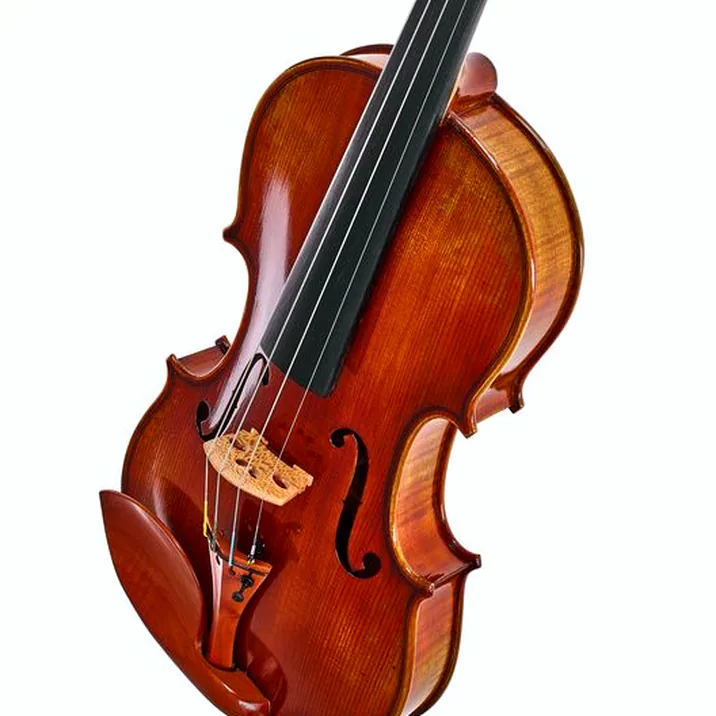 Eastman Andreas Eastman Violin VL405+