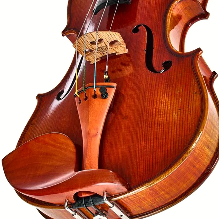 Eastman Andreas Eastman Violin VL405+