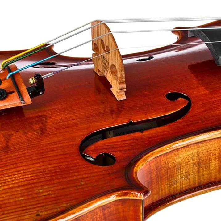 Eastman Andreas Eastman Violin VL405+