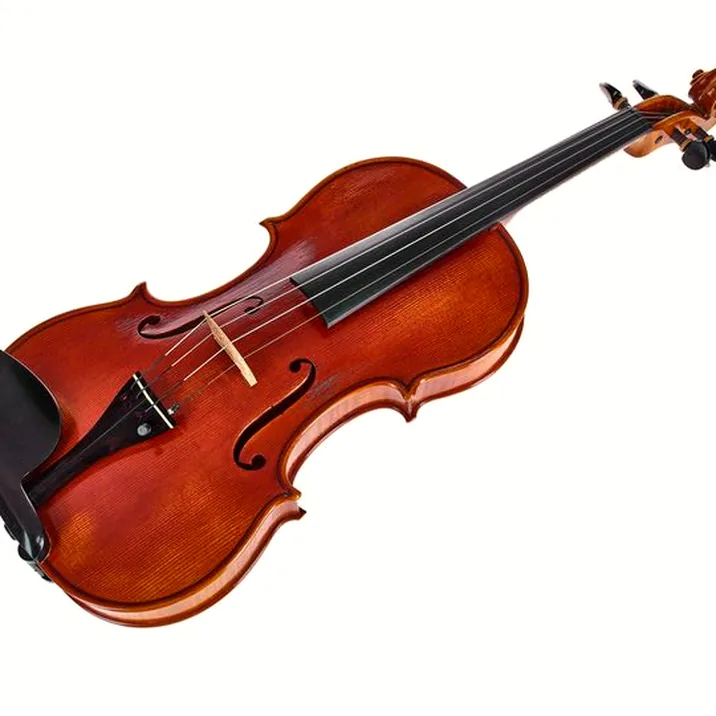 Edgar Russ - Sound of Cremona Linea Mauro Macchi Violin Gua.