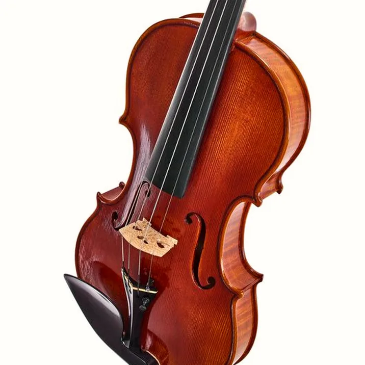 Edgar Russ - Sound of Cremona Linea Mauro Macchi Violin Gua.