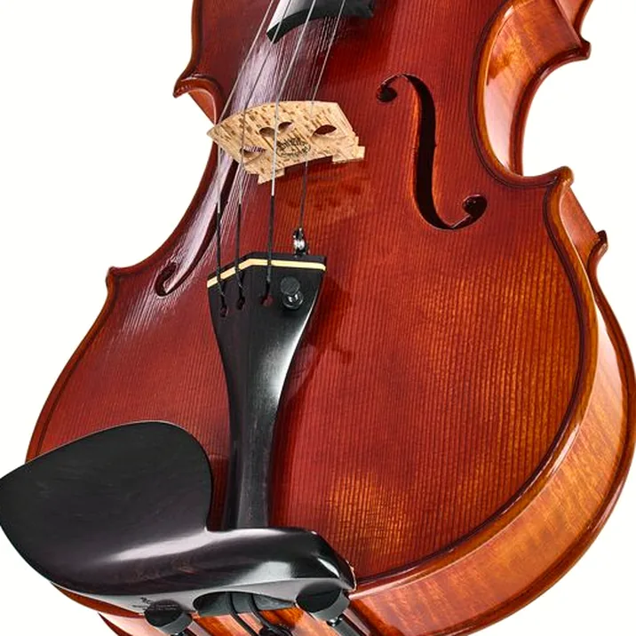 Edgar Russ - Sound of Cremona Linea Mauro Macchi Violin Gua.