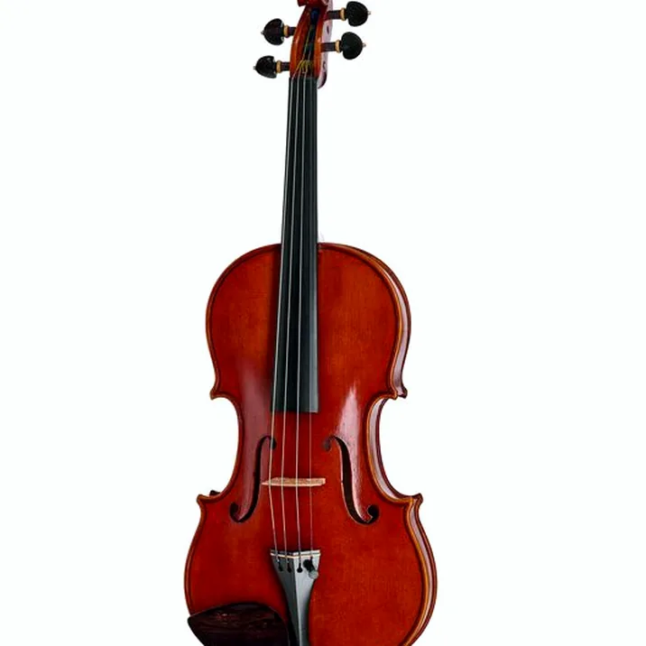 Edgar Russ Sound Of Cremona Linea Mauro Macchi Violin Str