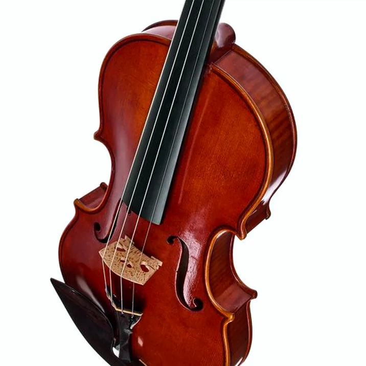 Edgar Russ - Sound of Cremona Linea Mauro Macchi Violin Str.