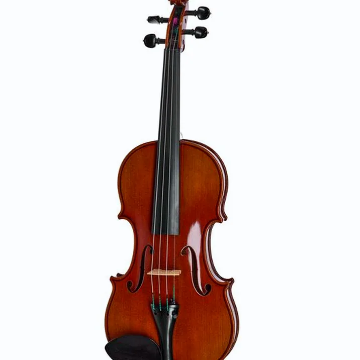 Ernst Heinrich Roth 61 Vi R Master Violin 4 4