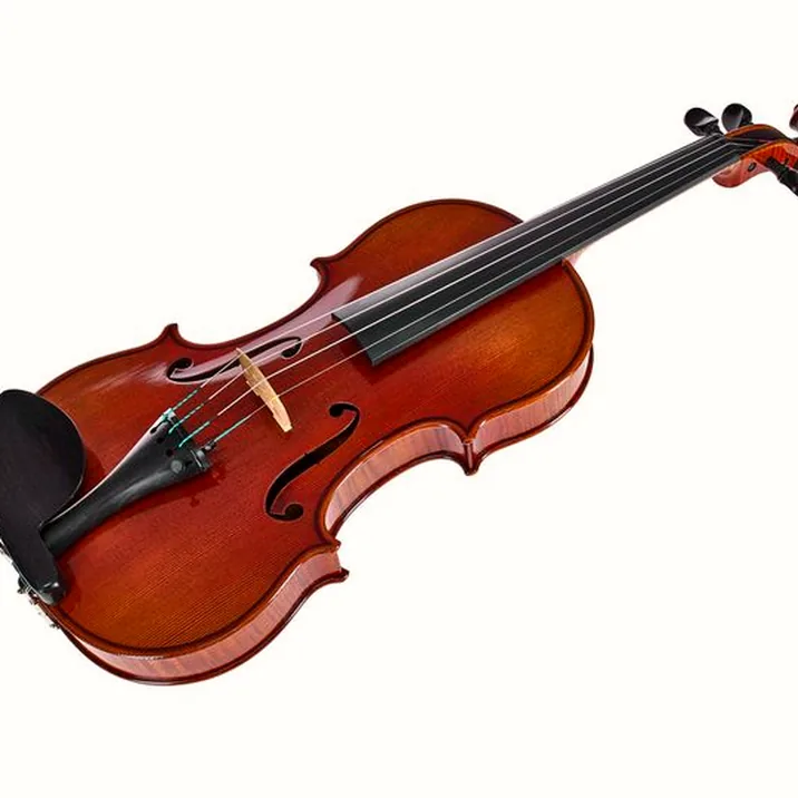 Ernst Heinrich Roth 61/VI-R Master Violin 4/4