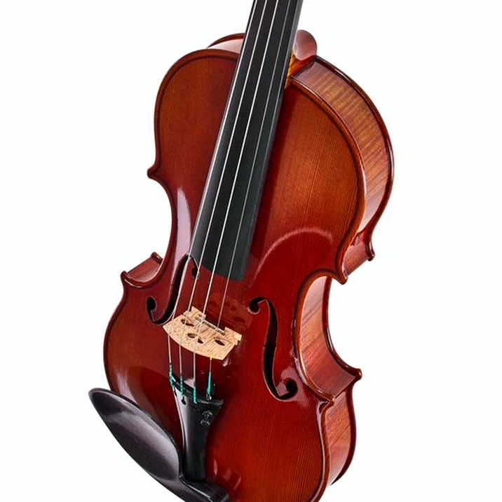 Ernst Heinrich Roth 61/VI-R Master Violin 4/4