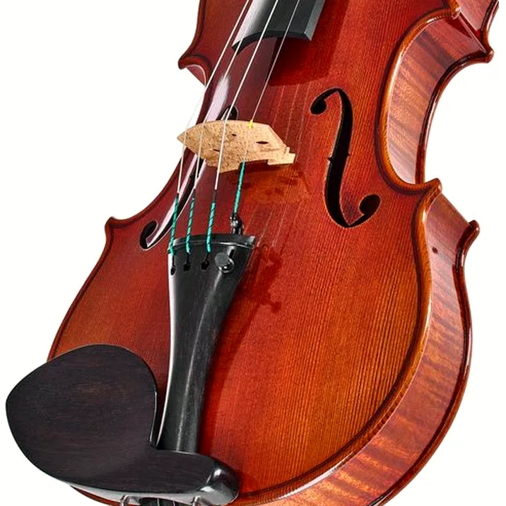 Ernst Heinrich Roth 61/VI-R Master Violin 4/4
