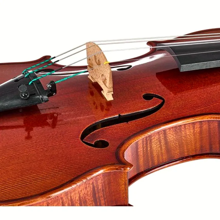 Ernst Heinrich Roth 61/VI-R Master Violin 4/4