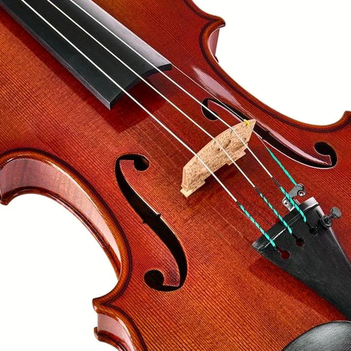 Ernst Heinrich Roth 61/VI-R Master Violin 4/4