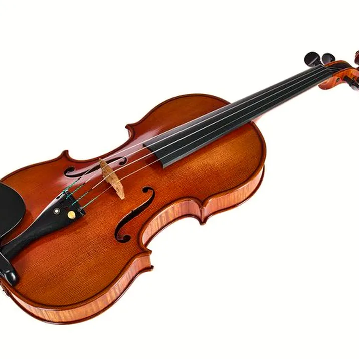 Ernst Heinrich Roth 62/VII-R Master Violin 4/4