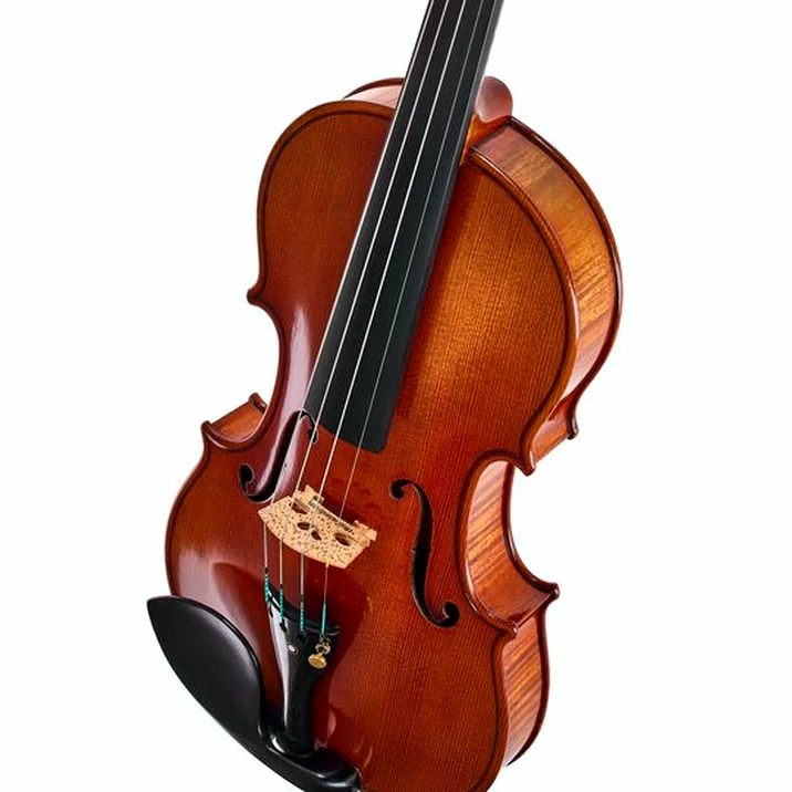 Ernst Heinrich Roth 62/VII-R Master Violin 4/4