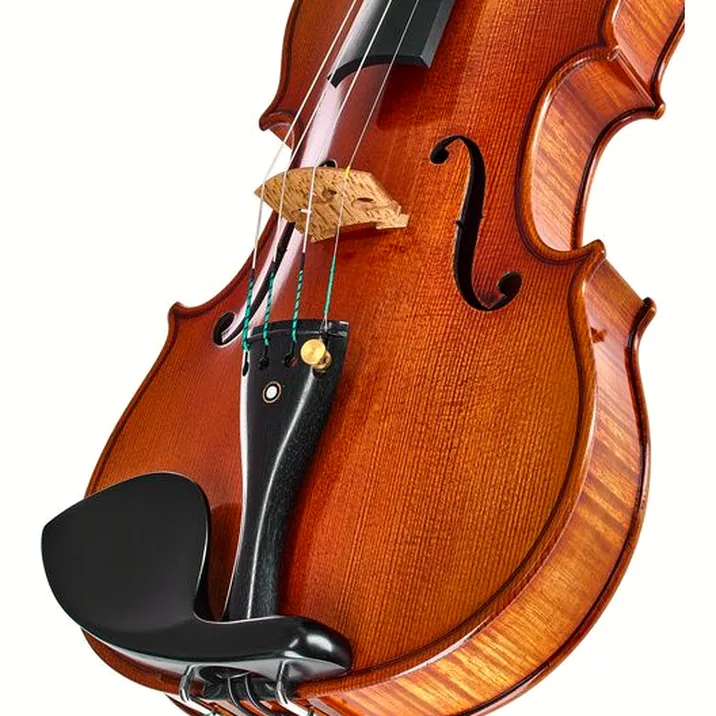 Ernst Heinrich Roth 62/VII-R Master Violin 4/4