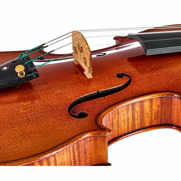 Ernst Heinrich Roth 62/VII-R Master Violin 4/4