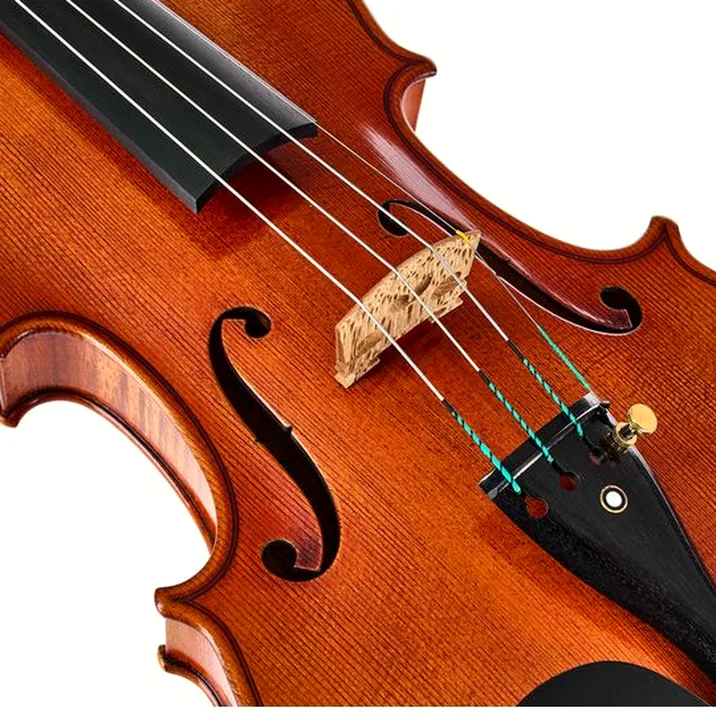 Ernst Heinrich Roth 62/VII-R Master Violin 4/4