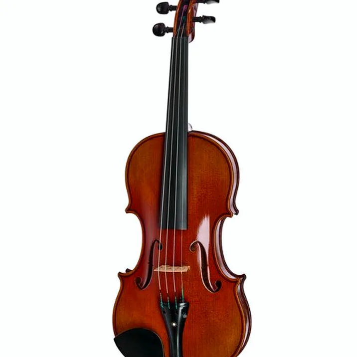 Ernst Heinrich Roth 64 Ix R Master Violin