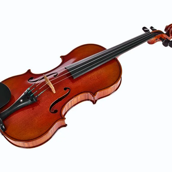 Ernst Heinrich Roth 64/IX-R Master Violin