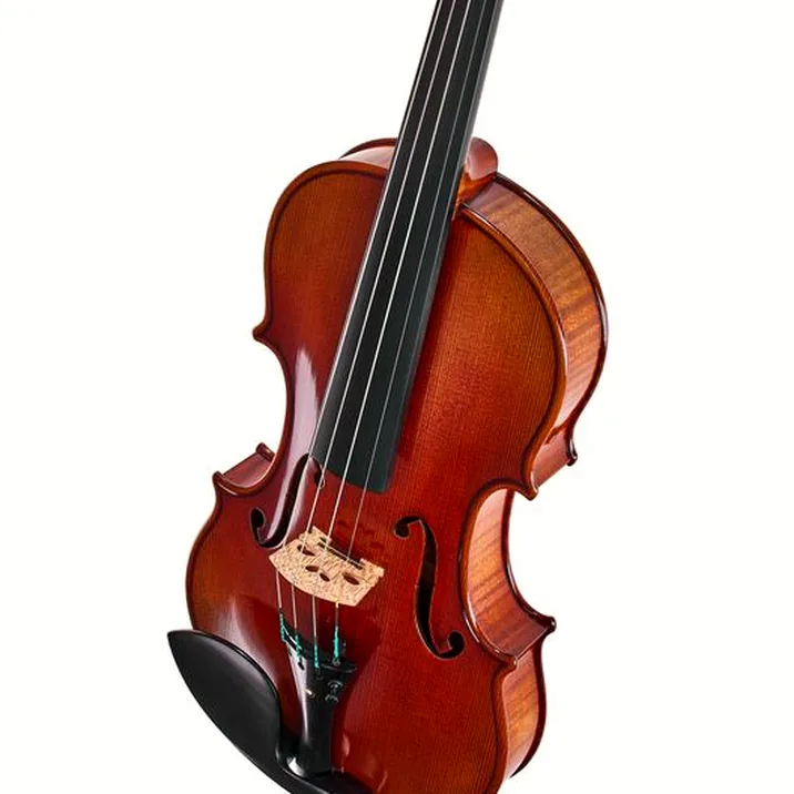 Ernst Heinrich Roth 64/IX-R Master Violin