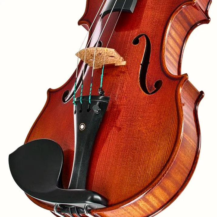 Ernst Heinrich Roth 64/IX-R Master Violin