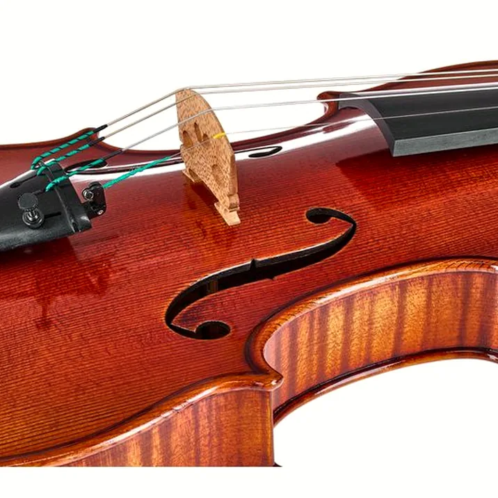 Ernst Heinrich Roth 64/IX-R Master Violin