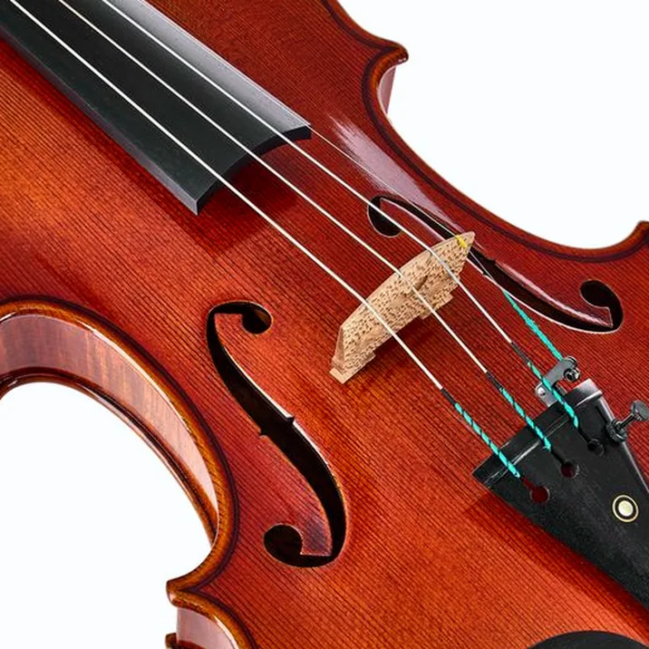 Ernst Heinrich Roth 64/IX-R Master Violin