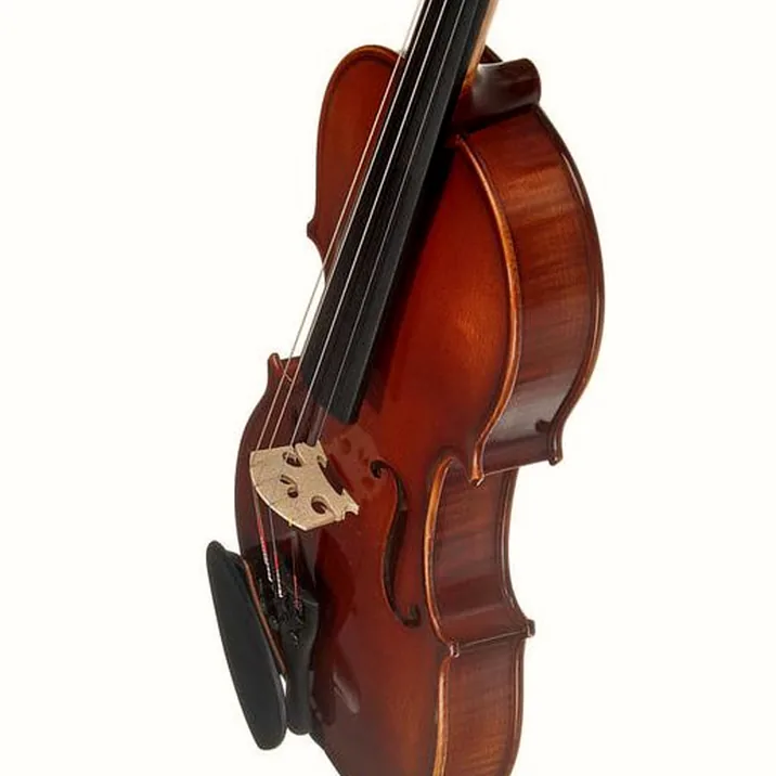 Franz Sandner 601 Violin Set 4/4