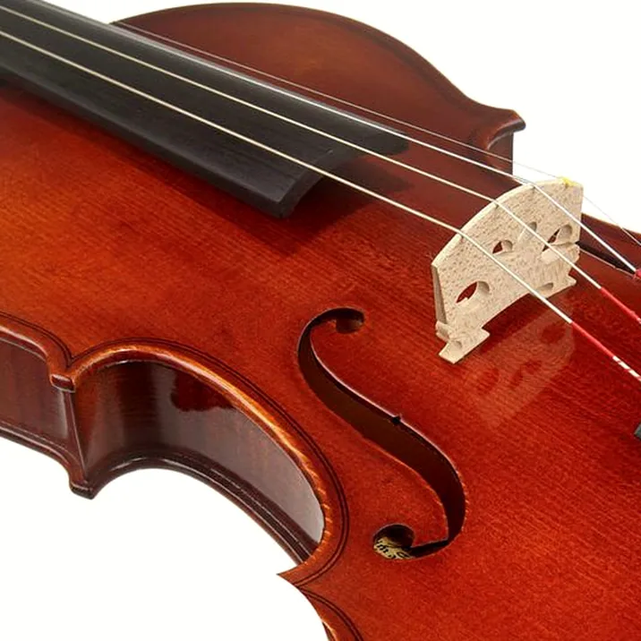 Franz Sandner 601 Violin Set 4/4