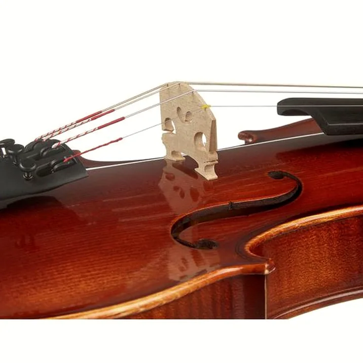 Franz Sandner 601 Violin Set 4/4