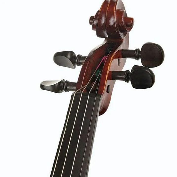 Franz Sandner 601 Violin Set 4/4
