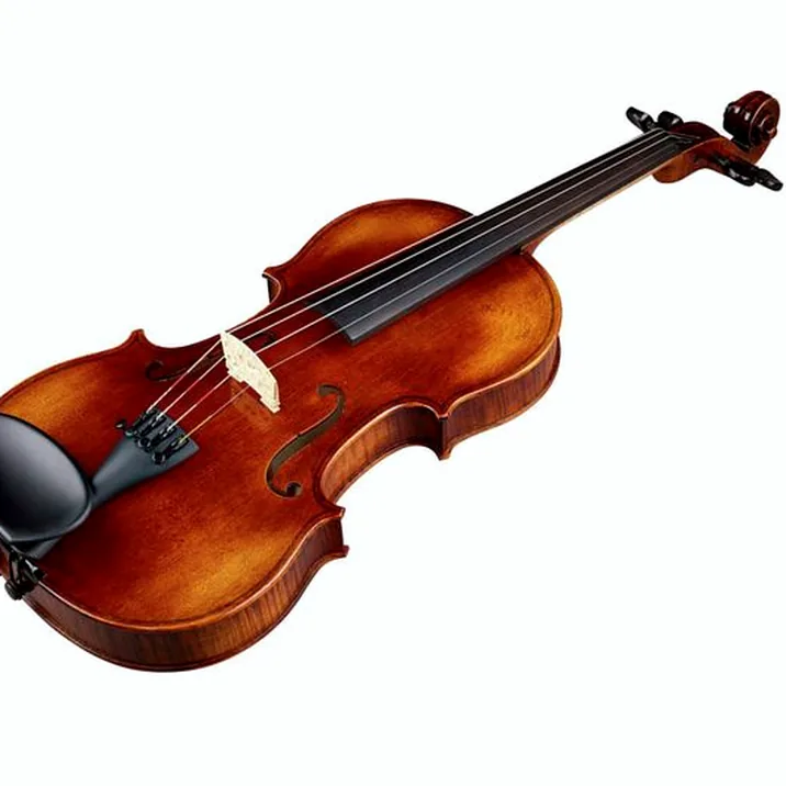 Franz Sandner Black Lady Violin 4/4