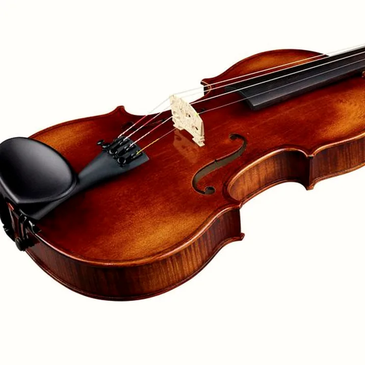 Franz Sandner Black Lady Violin 4/4