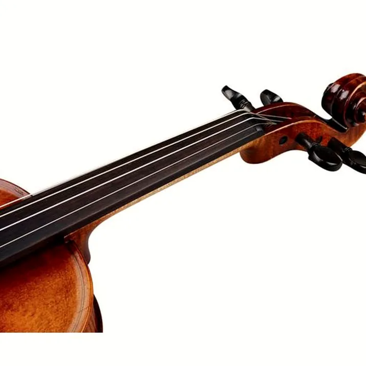 Franz Sandner Black Lady Violin 4/4