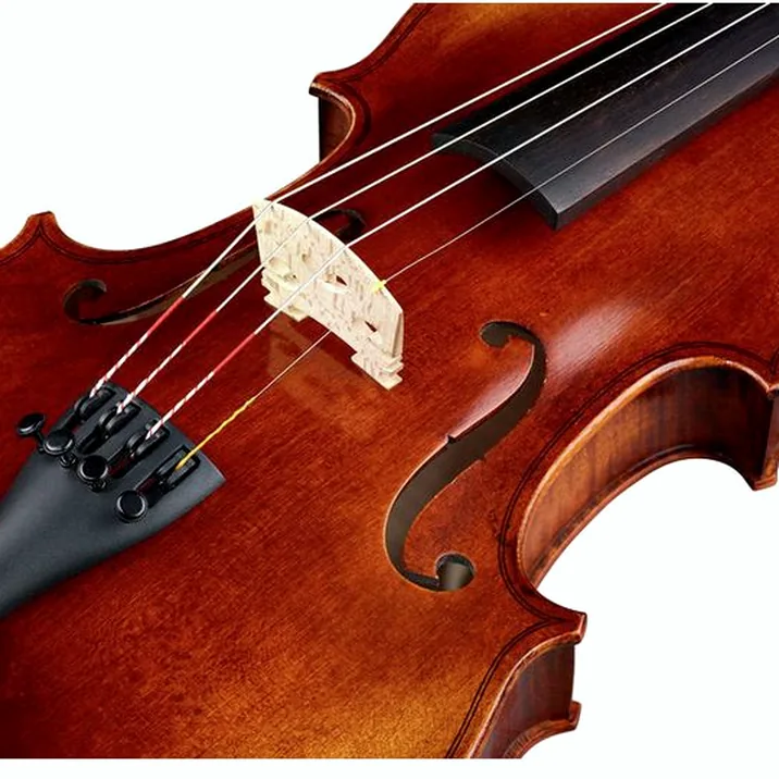 Franz Sandner Black Lady Violin 4/4