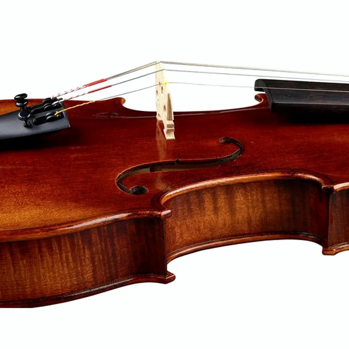 Franz Sandner Black Lady Violin 4/4