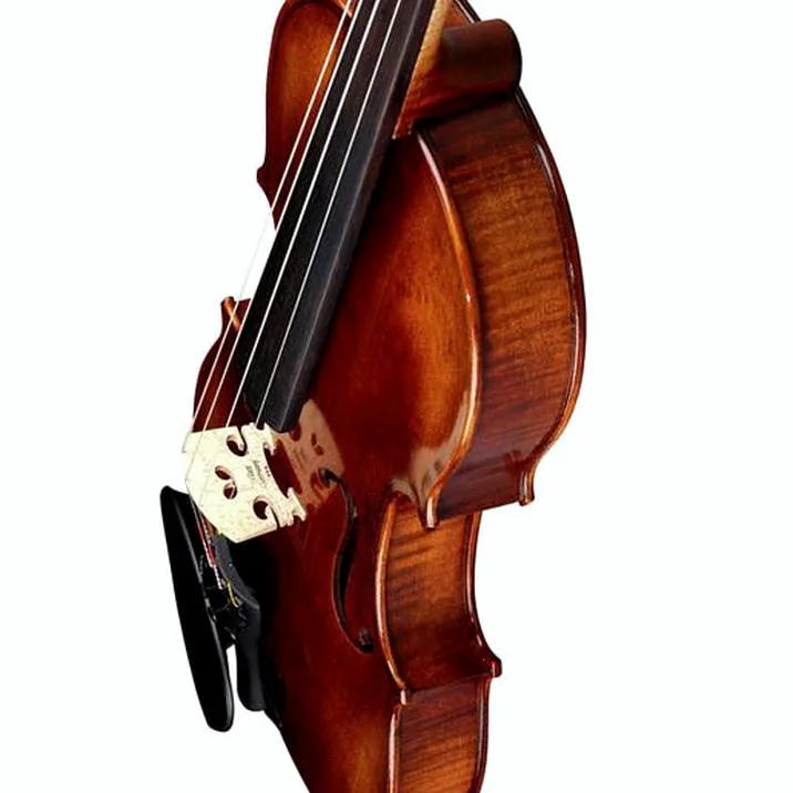Franz Sandner Black Lady Violin 4/4