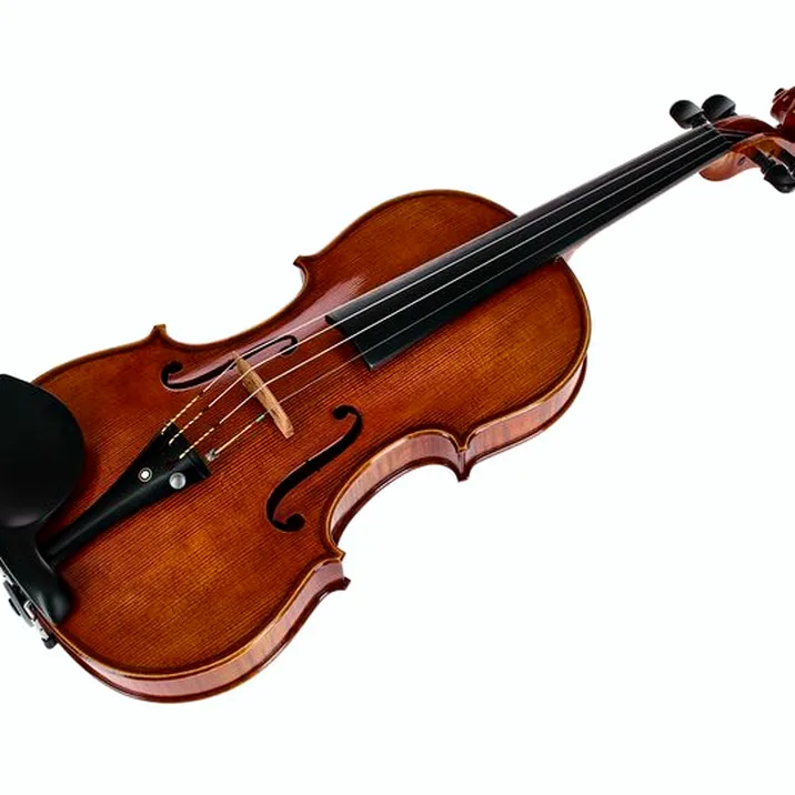 Franz Sandner Century De Luxe Strad. Pro Vn