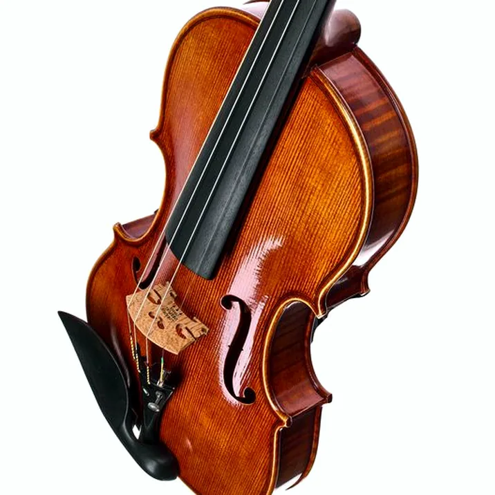 Franz Sandner Century De Luxe Strad. Pro Vn