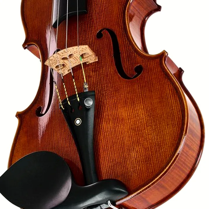 Franz Sandner Century De Luxe Strad. Pro Vn