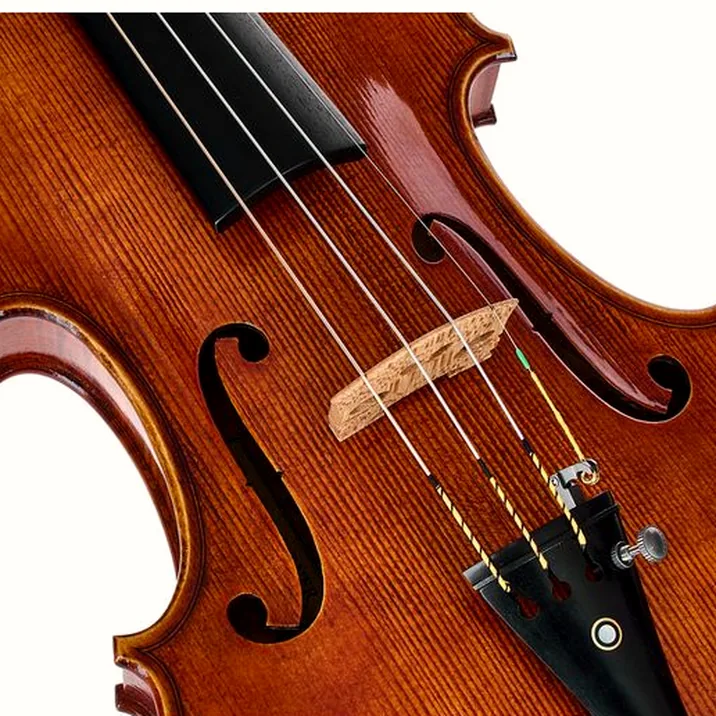 Franz Sandner Century De Luxe Strad. Pro Vn