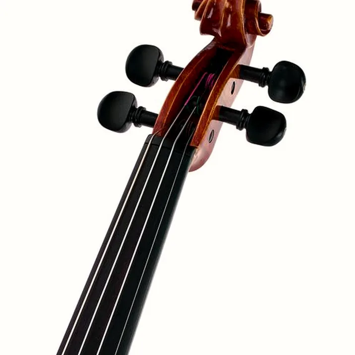 Franz Sandner Century De Luxe Strad. Pro Vn
