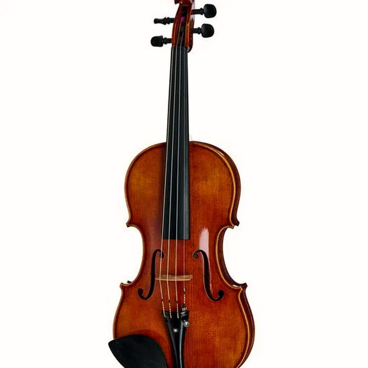 Franz Sandner Century De Luxe Strad Vn