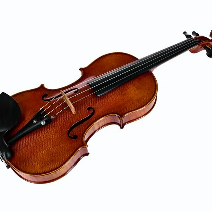 Franz Sandner Century De Luxe Strad. Vn