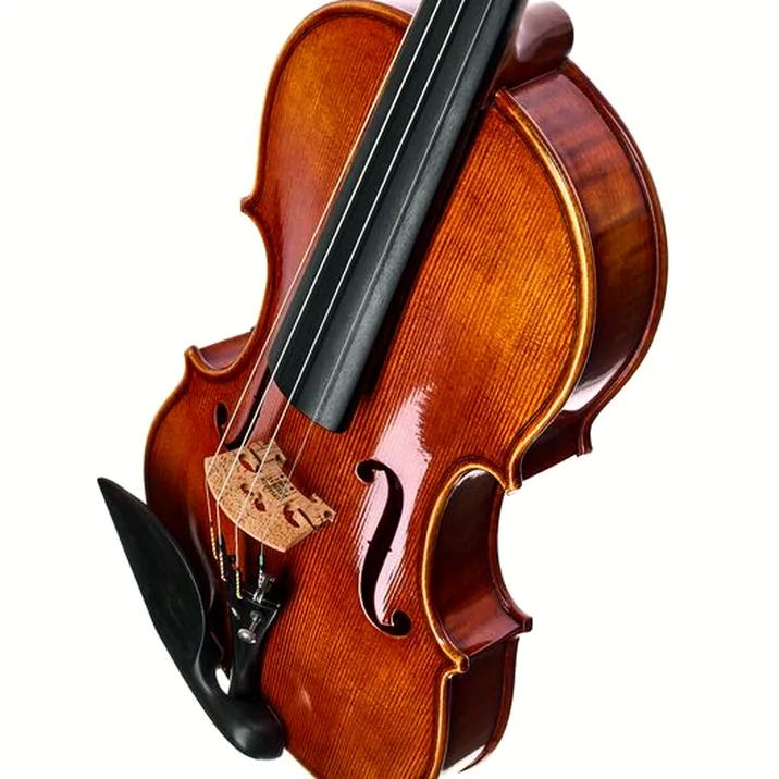 Franz Sandner Century De Luxe Strad. Vn