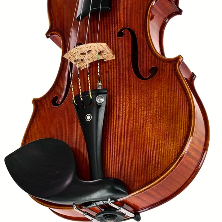 Franz Sandner Century De Luxe Strad. Vn